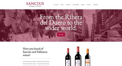 Sancius - Camino a la internacionalización - Graphic Design