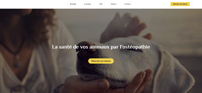 Création d'un site vitrine - Création de site internet