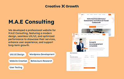 Website Design & Development for M.A.E Consulting - SEO