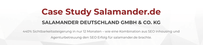 440% Sichtbarkeitssteigerung in nur 12 Monaten - SEO