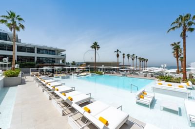 Playa Pacha Dubai - Marketing