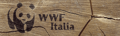 WWF - Media Planning