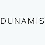 Dunamis Web Services Ltd logo