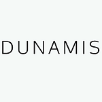 Dunamis Web Services Ltd