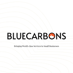 BLUECARBONS DIGITAL AGENCY - Climate Tech Marketing Agency