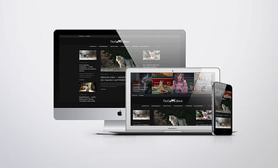 Content Portal für Haustiere - Planification médias