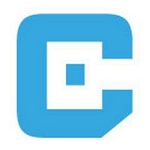 CODIWISE,S.L. logo
