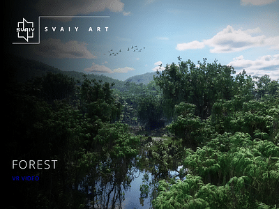 Forest | VR Video - Video Production