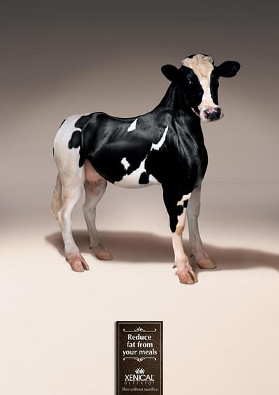 Cow - Publicité