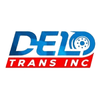 Delo Trans Inc – Uzbekistan | Egypt - Cybersecurity