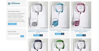 Example e-commerce store for Ucommerce - Website Creation