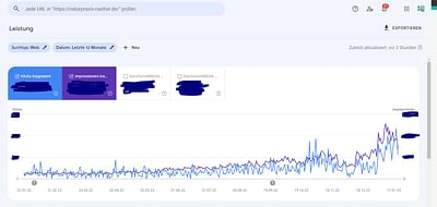 Naturpraxis Rüther | SEO - SEO