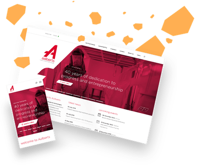 Aalberts' award winning website - Website Creation