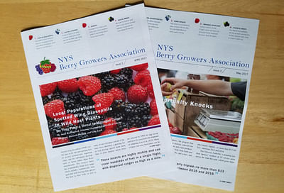 newsletter-copywriter-nys-berry-growers - Branding & Positioning