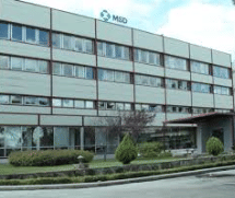 Transformación Estratégica / Marketing Comercial en Salud Animal - Artificial Intelligence