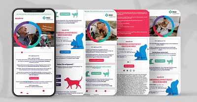 Newsletter Support für Tierarztpraxen - Digital Strategy