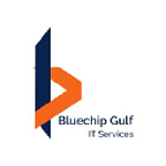 Bluechip Computer Systems LLC