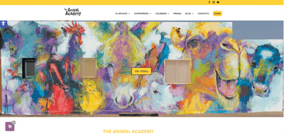 Web The Animal Academy - Création de site internet