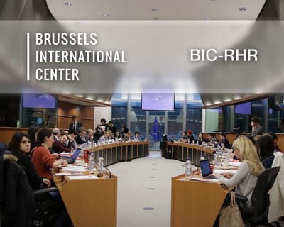 a heart for Human Rights with BIC-RHR - Website Creatie