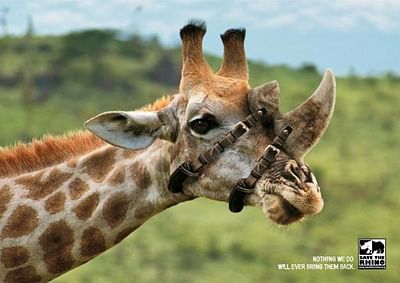 Giraffe - Advertising