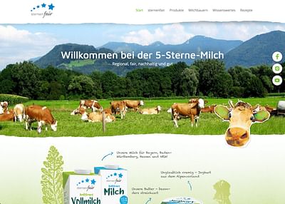 sternenfair – Ein faires Konzept, das begeistert - Webseitengestaltung