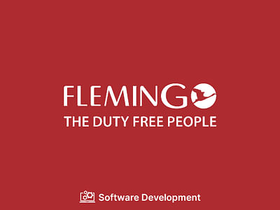 Software and website Development for Flamingo - Marketing