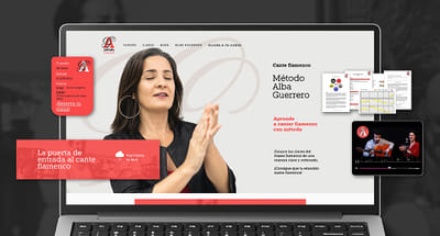 Tienda online y estrategia SEO para Cante Flamenco Global - E-commerce
