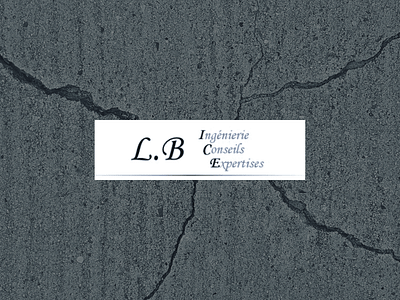 SEO : LB ICE - Création de site internet