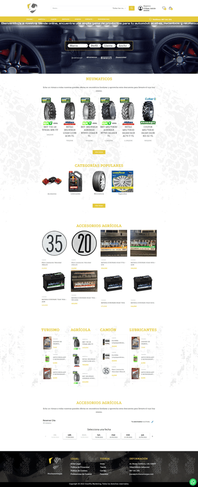 DISEÑO Y DESARROLLO WEB PINCHAZOSVARGAS.COM - SEO