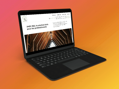 IMEX - Création site web et optimisation SEO - Ergonomie (UX/UI)