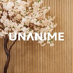UNANIME CREATIVOS