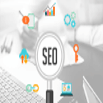 Creative NIloy- SEO Expert in Canada