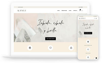 Sitio web Kanui - E-commerce