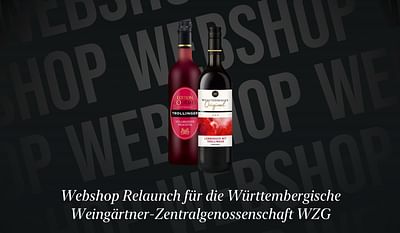 Shopware 6 online shop for WZG - Webseitengestaltung