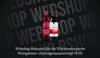 Shopware 6 Onlineshop für WZG - Website Creation