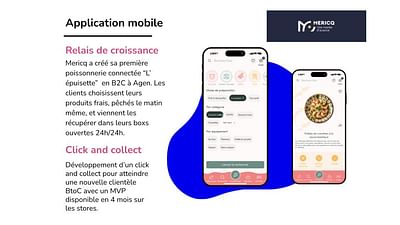 MERICQ - Application mobile