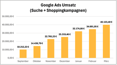 B2B-Fallstudie: 1400% ROAS und 40k Umsatz aus dem Stand mit Google Ads - Online Advertising