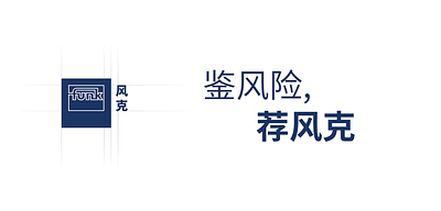 China website and Chinese slogan for Funk Group - Creazione di siti web