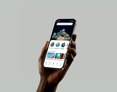 DiveLife: A Mobile App for the Diving Community - Desarrollo de Software