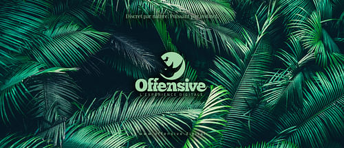Offensive cover