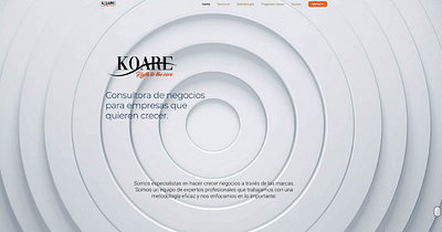 Koare Desarrollo Web - Website Creatie