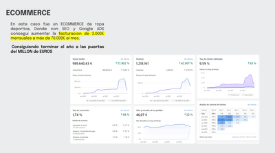 Proyecto Google ADS + SEO - ECOMMERCE - SEO