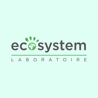 Ecosystem - Création de site internet