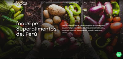 foods.pe - Webseitengestaltung