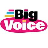 Big Voice Ltd