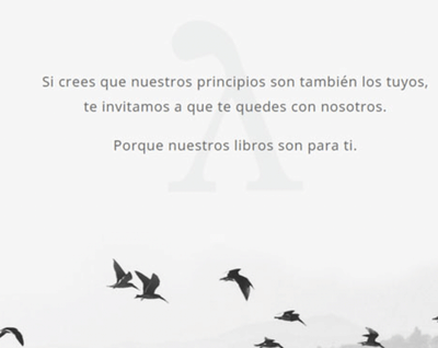 Diseño y programación de Página Web + eCommerce - E-commerce
