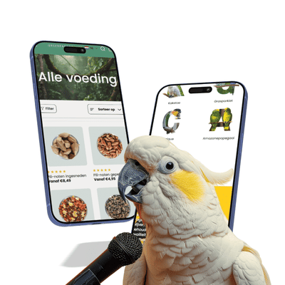 Van digitale chaos naar marktleider webshop — GreenParrotSho - Référencement naturel