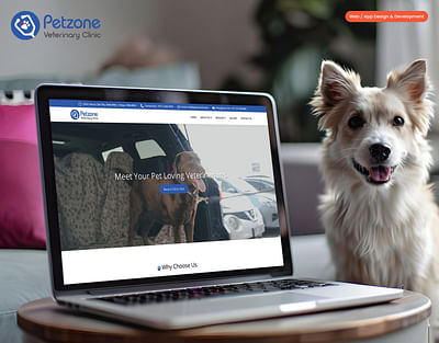 Petzone Website Development And Designing - Référencement naturel