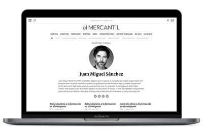 El Mercantil - Creación de Sitios Web
