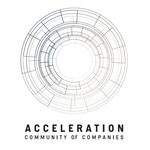 AccelerAction LLC